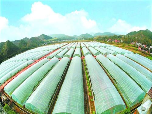 空氣能熱泵如何給植物養殖創造環境？