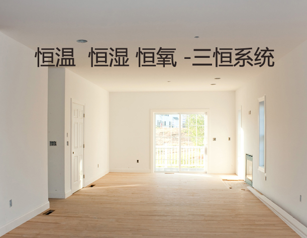 五恒係統多少錢一平米？