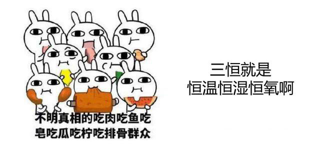 家裝三恒係統品牌有哪些？